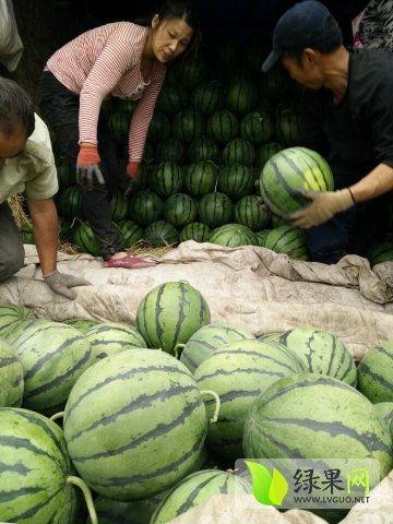 吃瓜最新事件网红久久,真相究竟如何？